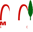 Museo Arqueolgico Municipal